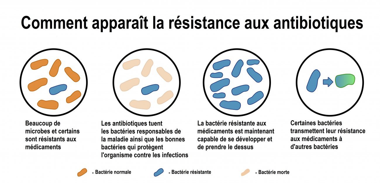Résistance aux antibiotiques - Institut Pasteur