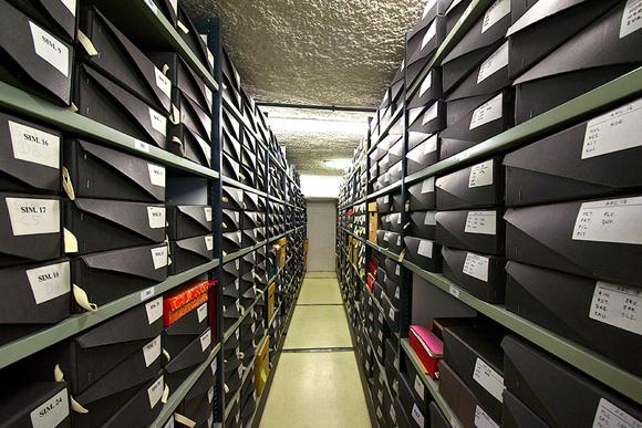 Ressources Scientifiques - Archives - Institut Pasteur