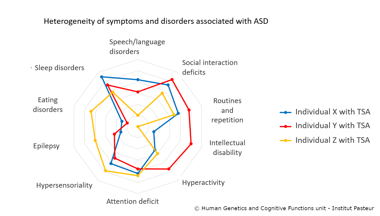 Heterogeneity of symptoms and disorders associated with ASD - Institut Pasteur