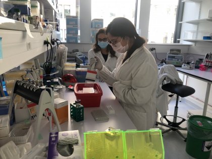 Recherches en laboratoire dans le cadre du projet ATUN-DIPs_interview Roukaya Yaakoubi_Institut Pasteur de Tunis