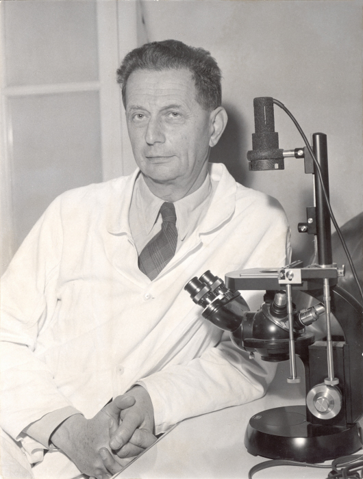 André Lwoff André Lwoff