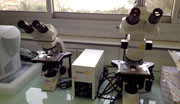microscopes-cpc Action Mondiale Cameroun microscopes-cpc Action Mondiale Cameroun