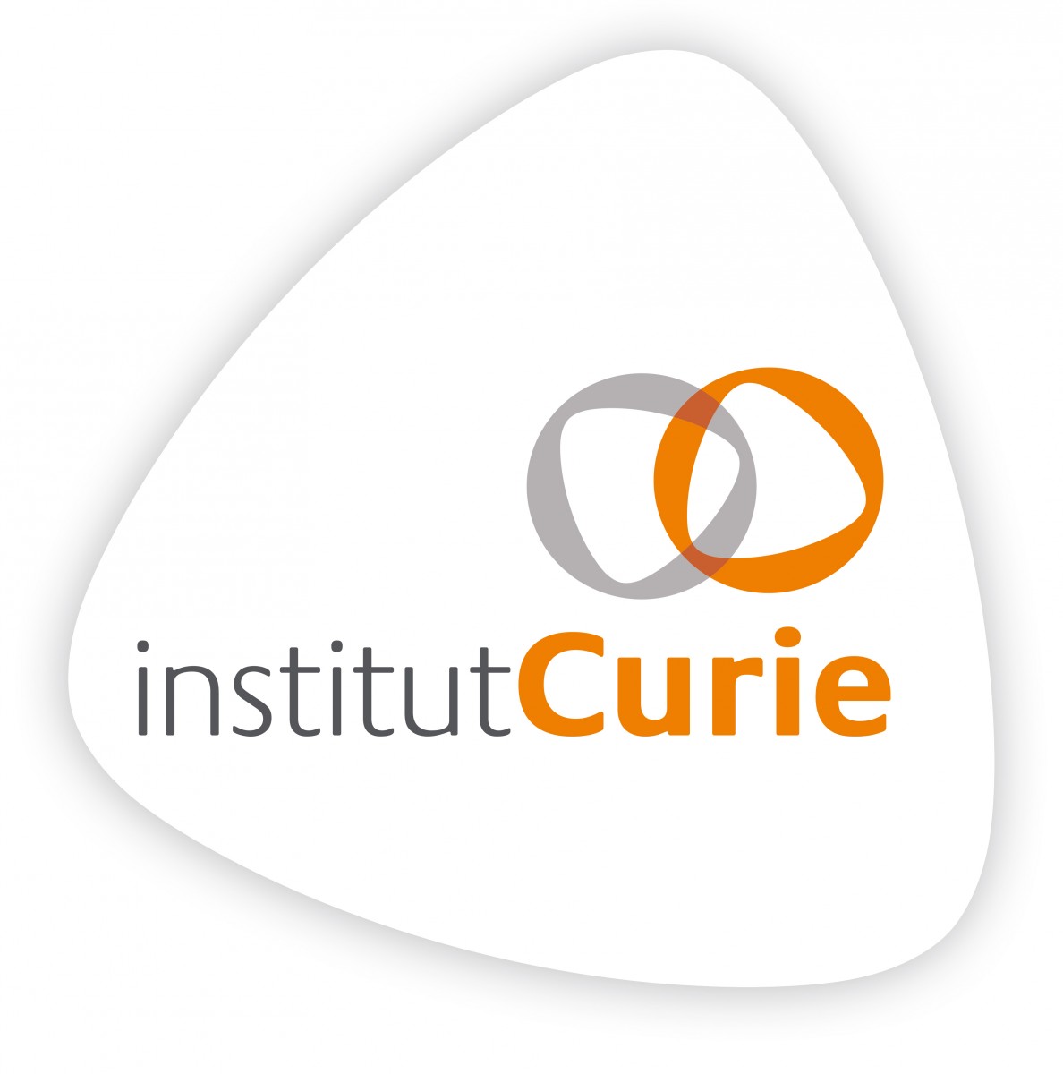 Les cours de l’Institut Curie Les cours de l’Institut Curie