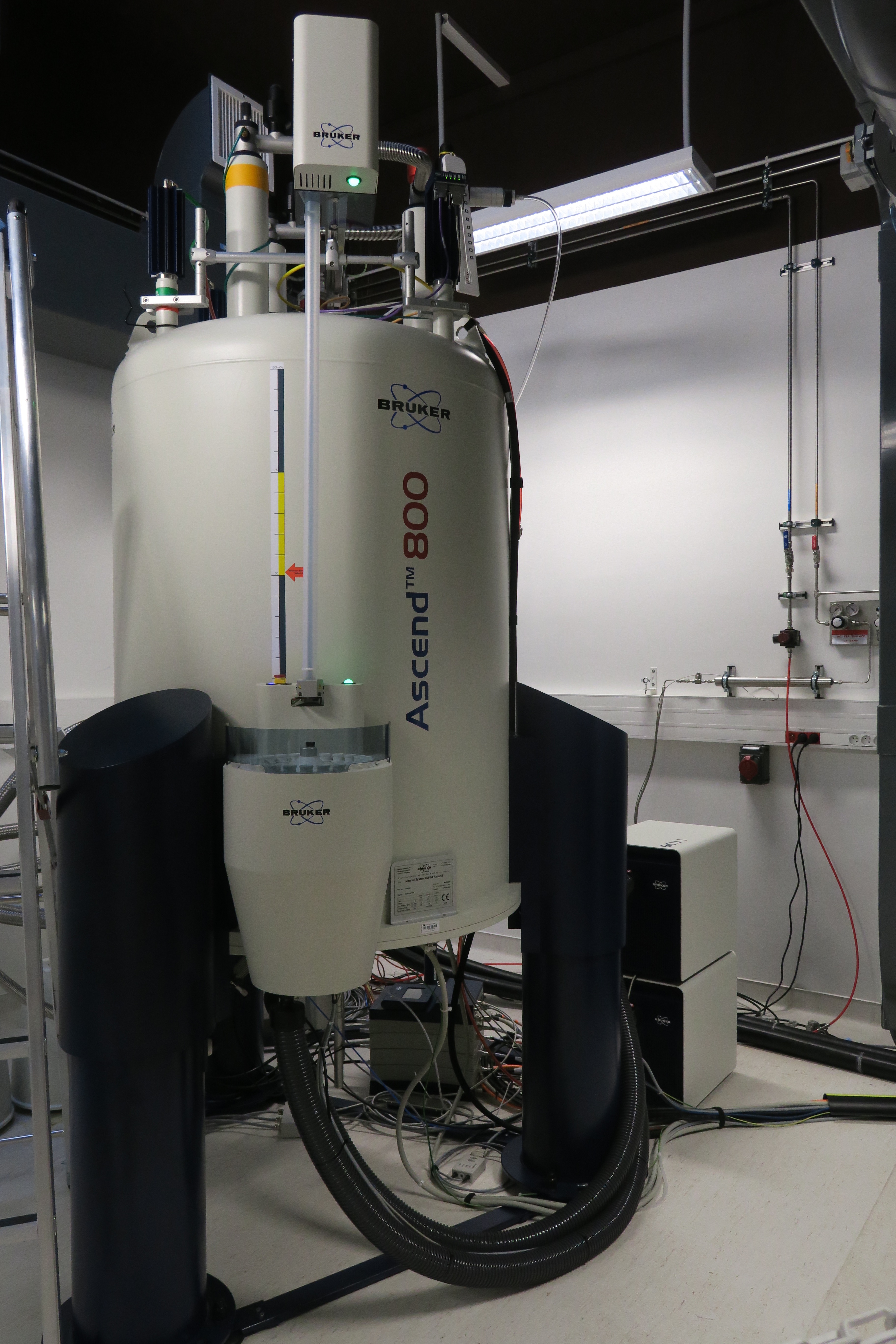 RMN 800 MHz - Institut Pasteur RMN 800 MHz - Institut Pasteur