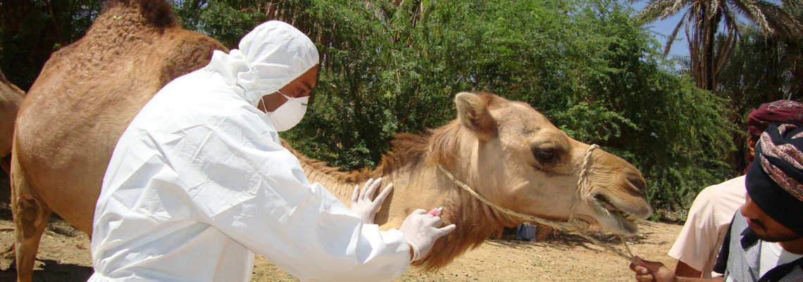 MOOC Global Health at the Human Animal Ecosystem Interface - Institut Pasteur MOOC Global Health at the Human Animal Ecosystem Interface - Institut Pasteur
