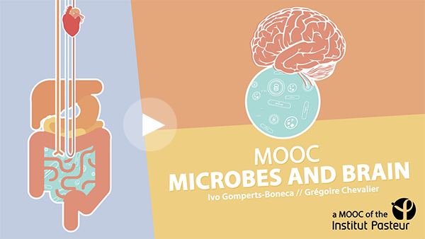 MOOC Microbes & Brain - Institut Pasteur MOOC Microbes & Brain - Institut Pasteur