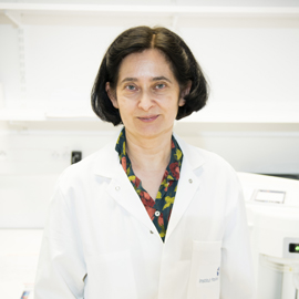 Lisa Chakrabarti Lisa Chakrabarti