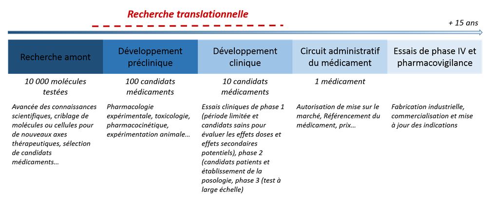 recherche translationnelle - idmit - cea recherche translationnelle - idmit - cea