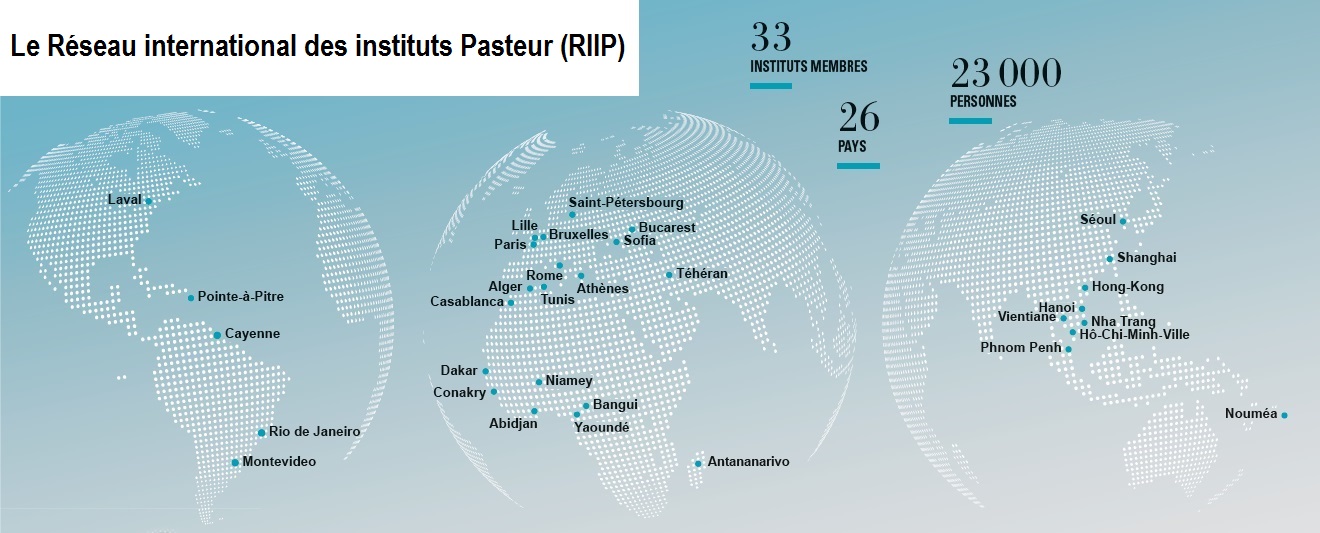 institut pasteur - réseau international institut pasteur - réseau international