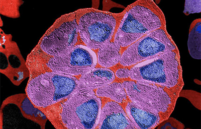 Sanofi - Institut Pasteur Awards 2018 Sanofi - Institut Pasteur Awards 2018