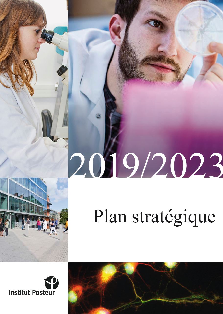 plan stratégique plan stratégique