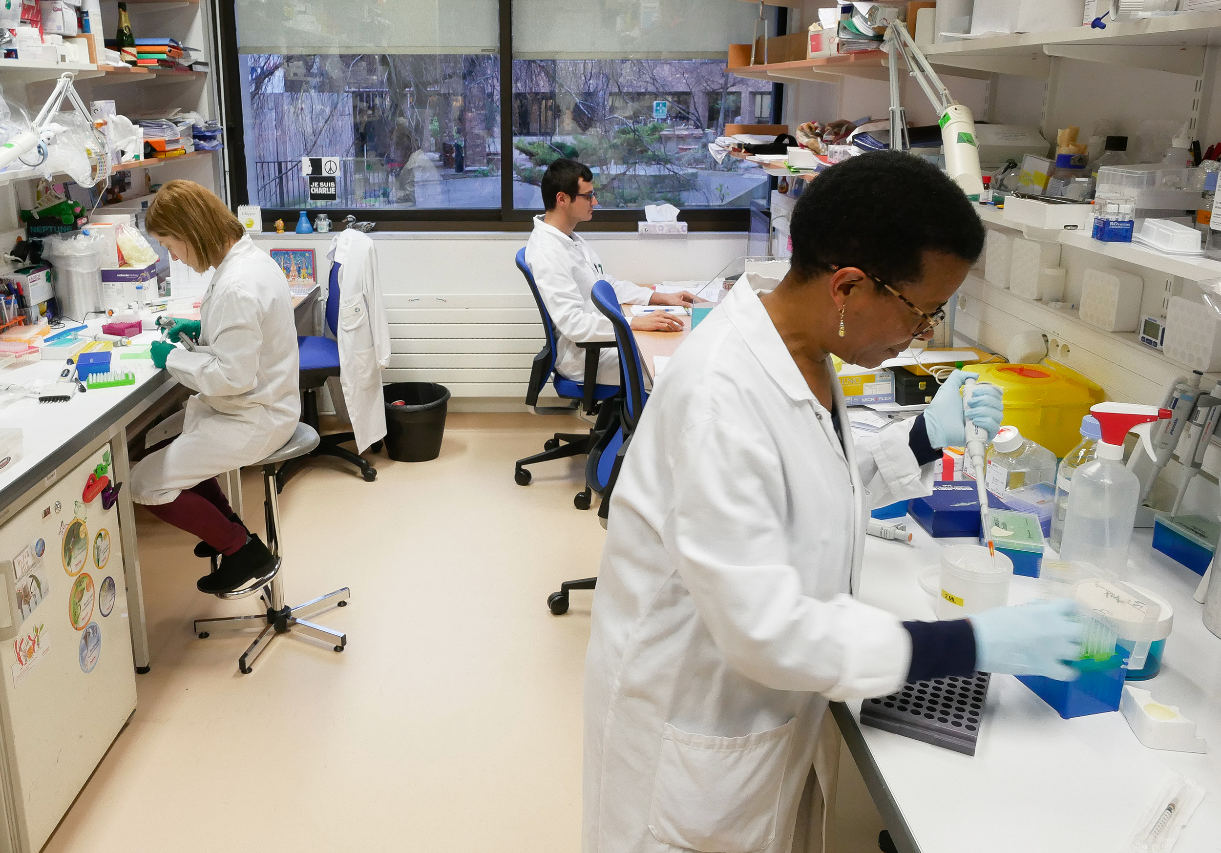 Dans le laboratoire Microenvironnement et immunité - Institut Pasteur Dans le laboratoire Microenvironnement et immunité - Institut Pasteur