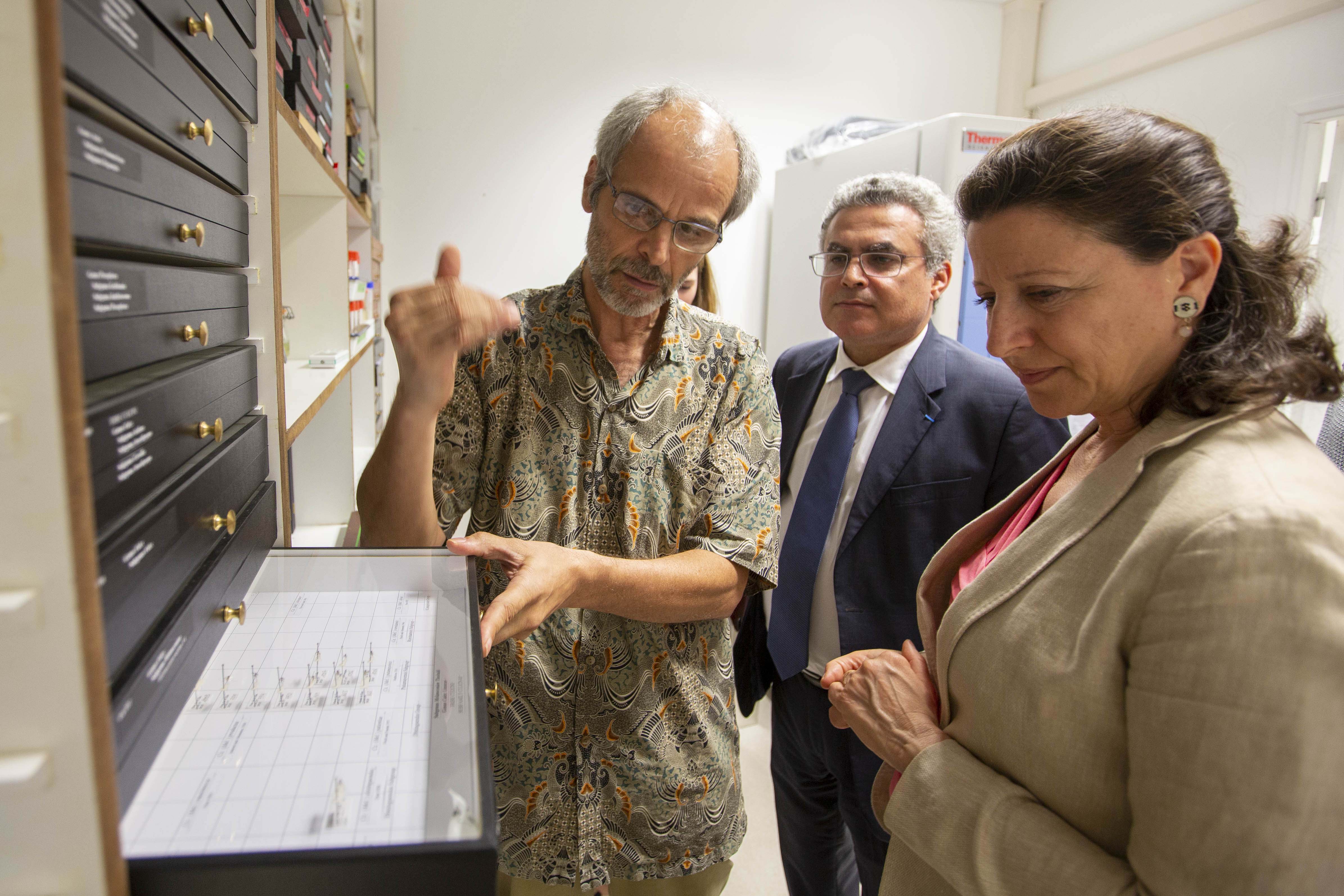Jean-Bernard Duchemin (à gauche) présente la collection des moustiques de l’Institut Pasteur de la Guyane depuis 1940 à Madame Agnès Buzyn en présence du Dr Mirdad Kazanji Jean-Bernard Duchemin (à gauche) présente la collection des moustiques de l’Institut Pasteur de la Guyane depuis 1940 à Madame Agnès Buzyn en présence du Dr Mirdad Kazanji
