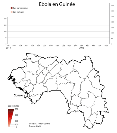 Ebola : 3 variants du virus identifiés en Guinée - Institut Pasteur Ebola : 3 variants du virus identifiés en Guinée - Institut Pasteur