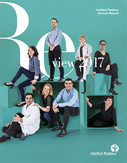 Annual Report 2017 Annual Report 2017