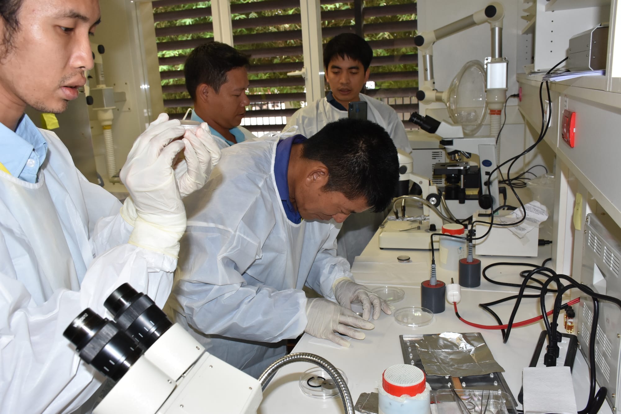 Cours - entomologie médicale - Institut Pasteur - Laos Cours - entomologie médicale - Institut Pasteur - Laos