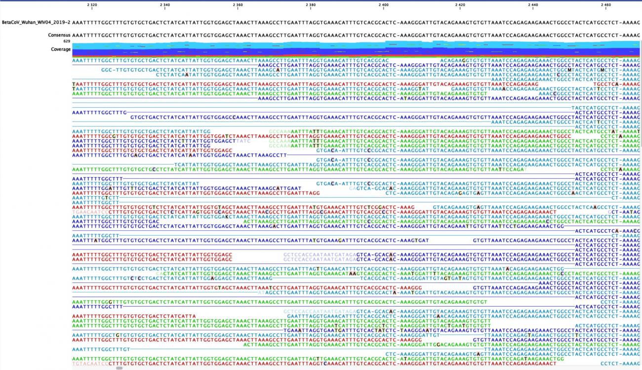 Coronavirus - Wuhan - 2019-nCoV - Institut Pasteur Coronavirus - Wuhan - 2019-nCoV - Institut Pasteur