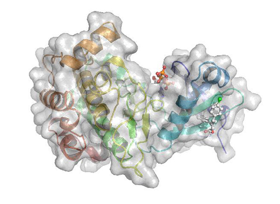 Task force SARS-CoV-2 - Institut Pasteur Task force SARS-CoV-2 - Institut Pasteur