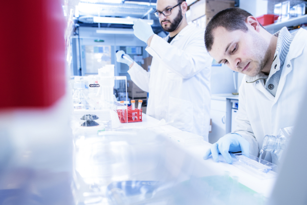 Investor Collaboration - Innovation - Institut Pasteur Investor Collaboration - Innovation - Institut Pasteur