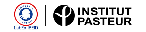 Logo IBEID Logo IBEID