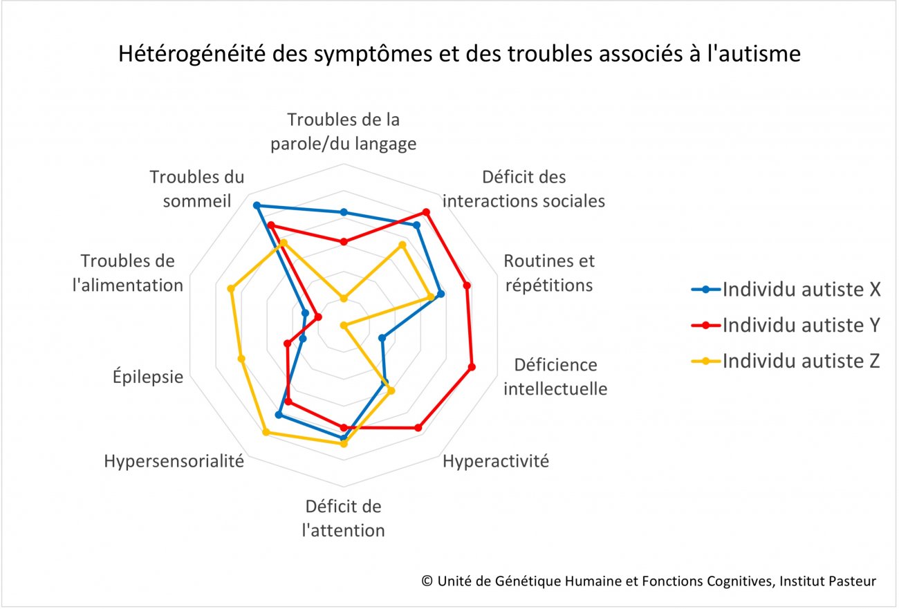 Hétérogénéité des symptômes et des troubles associés à l'autisme - Institut Pasteur Hétérogénéité des symptômes et des troubles associés à l'autisme - Institut Pasteur