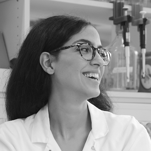 © Institut Pasteur, Institut Pasteur Sara Khalilian