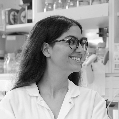 © Institut Pasteur, Valérie ZEITOUN Parisa Khalilian