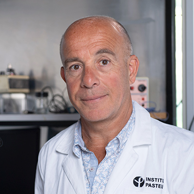 © François Gardy, Institut Pasteur Pierre-Marie Lledo : un neuro-optimiste au labo comme à la ville