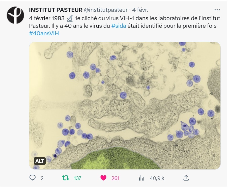 Sida- VIH - Institut Pasteur Sida- VIH - Institut Pasteur