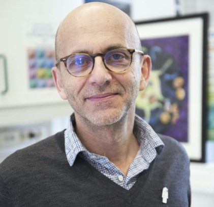 Tête à tête avec Olivier Schwartz : la formation du placenta - Institut Pasteur Tête à tête avec Olivier Schwartz : la formation du placenta - Institut Pasteur