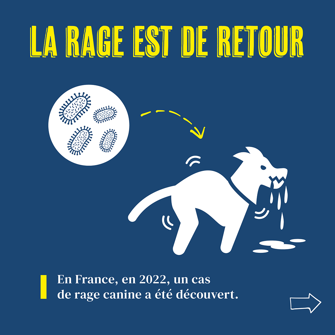 La rage est de retour La rage est de retour