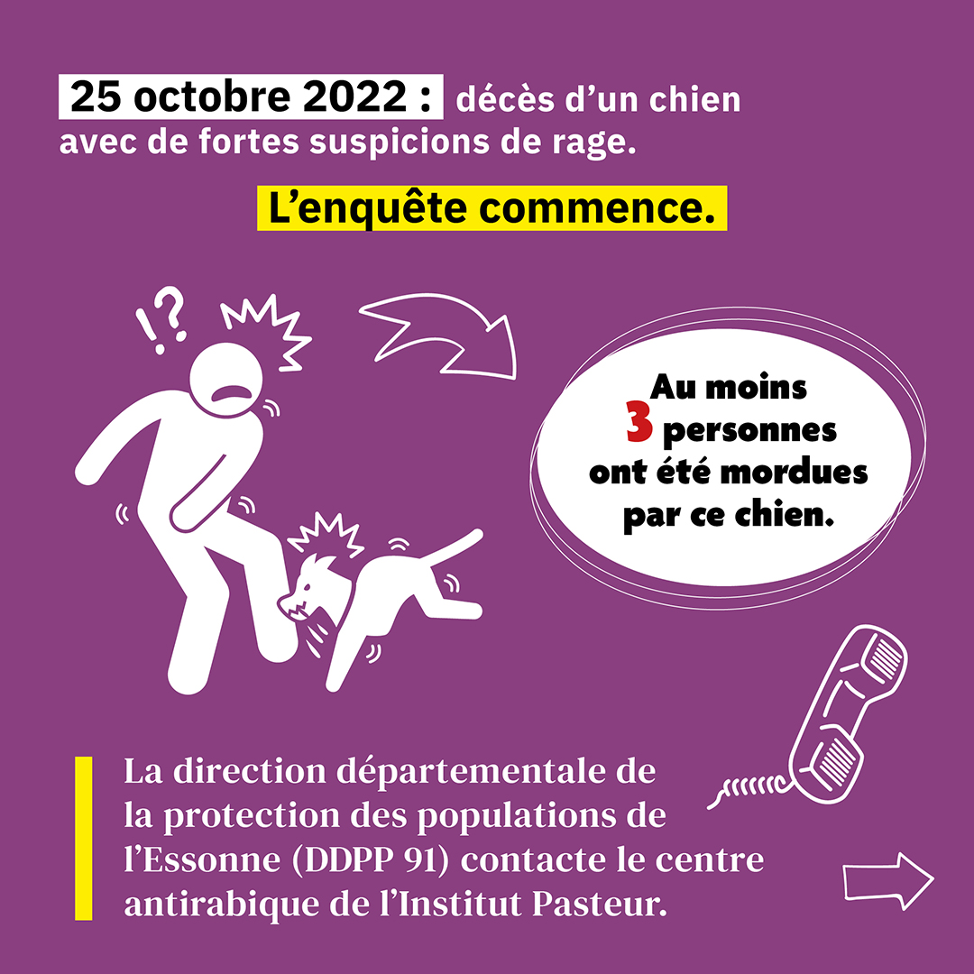L'enquête commence L'enquête commence