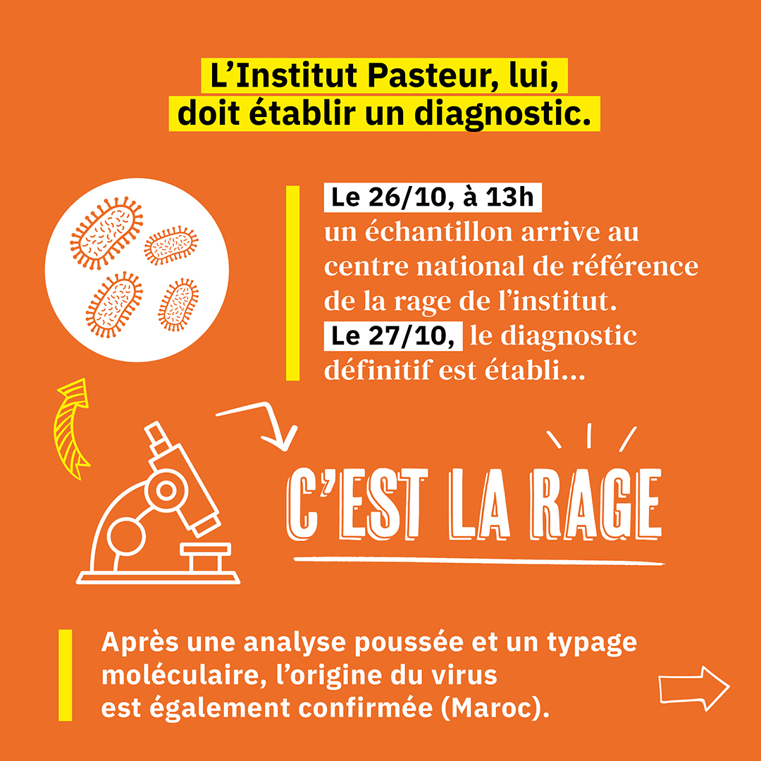 Diagnostic établi : c'est la rage Diagnostic établi : c'est la rage