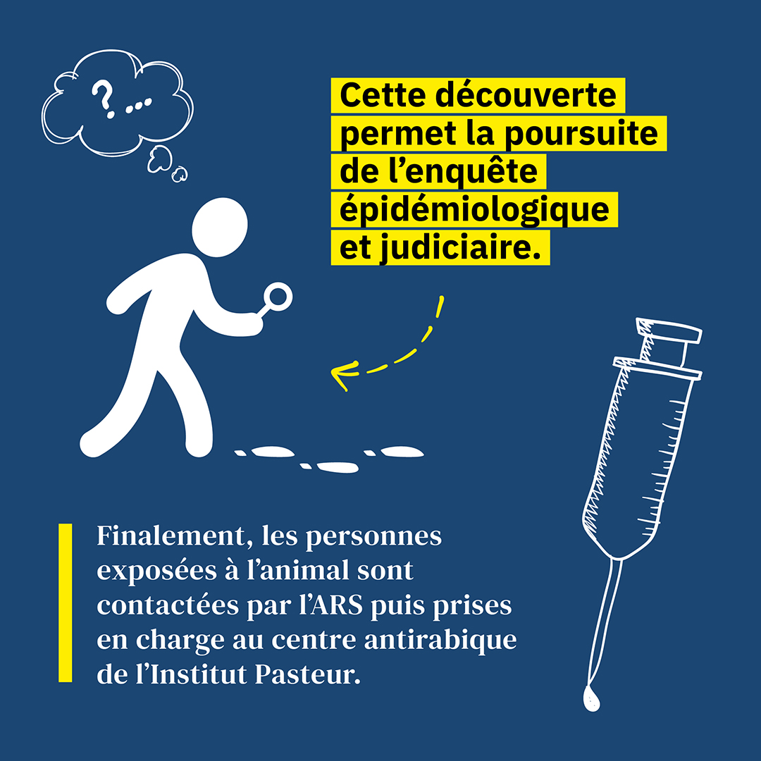 Poursuite de l'enquête épidémiologique Poursuite de l'enquête épidémiologique