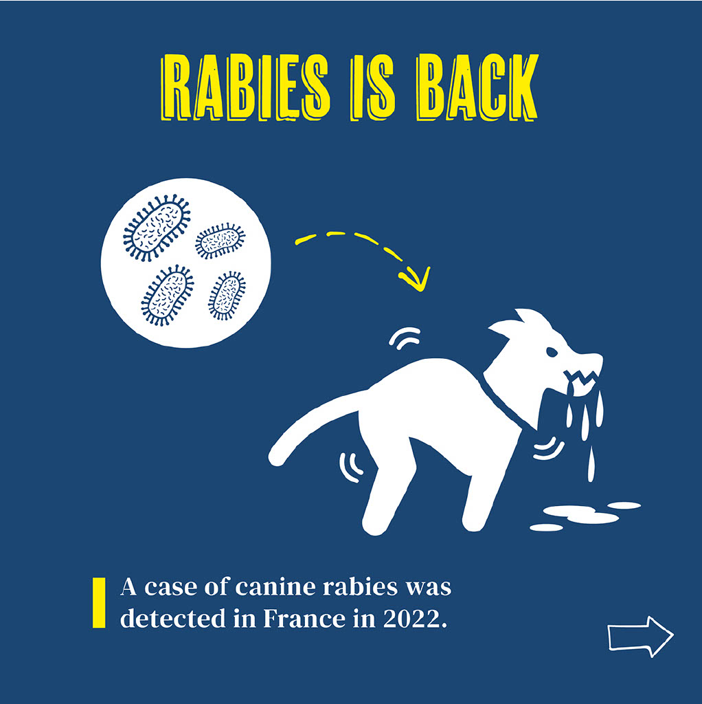 Rabies is back Rabies is back