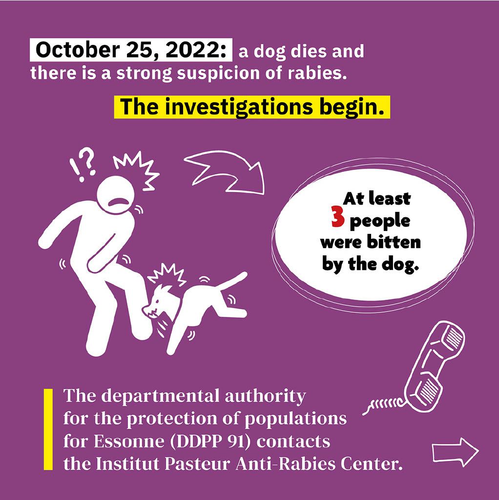 The investigations begin The investigations begin
