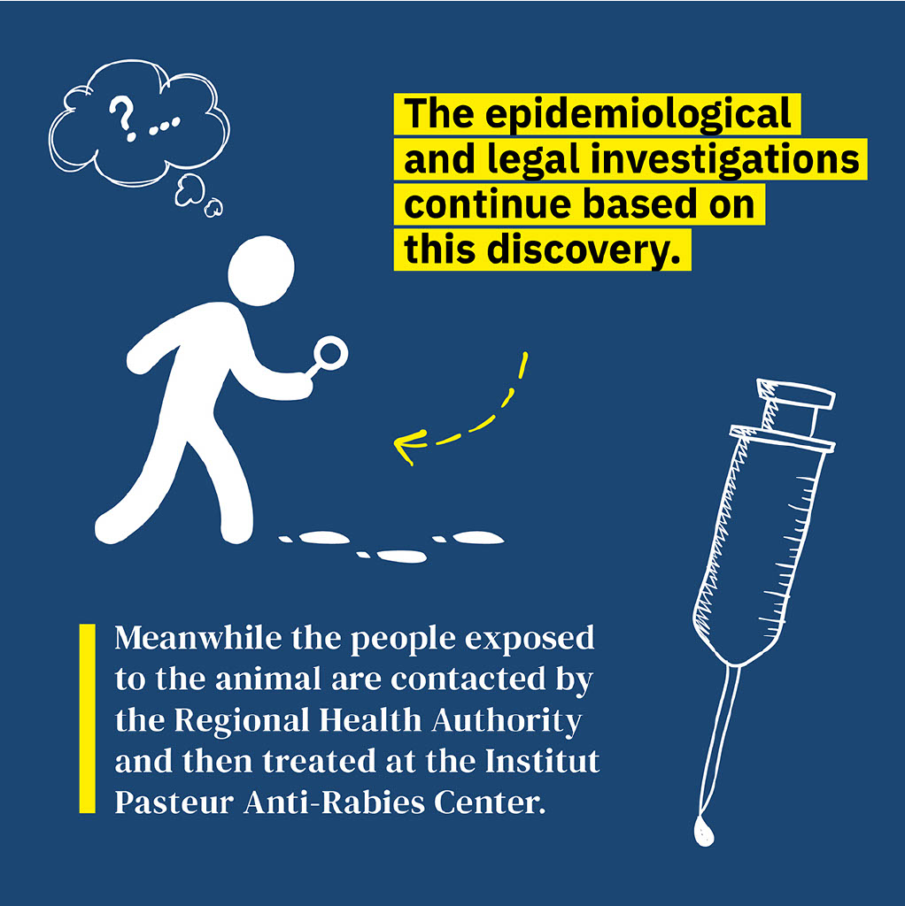 Investigations continue Investigations continue