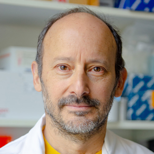 © Institut Pasteur, Valérie ZEITOUN Javier Pizarro- Cerda portrait photographique