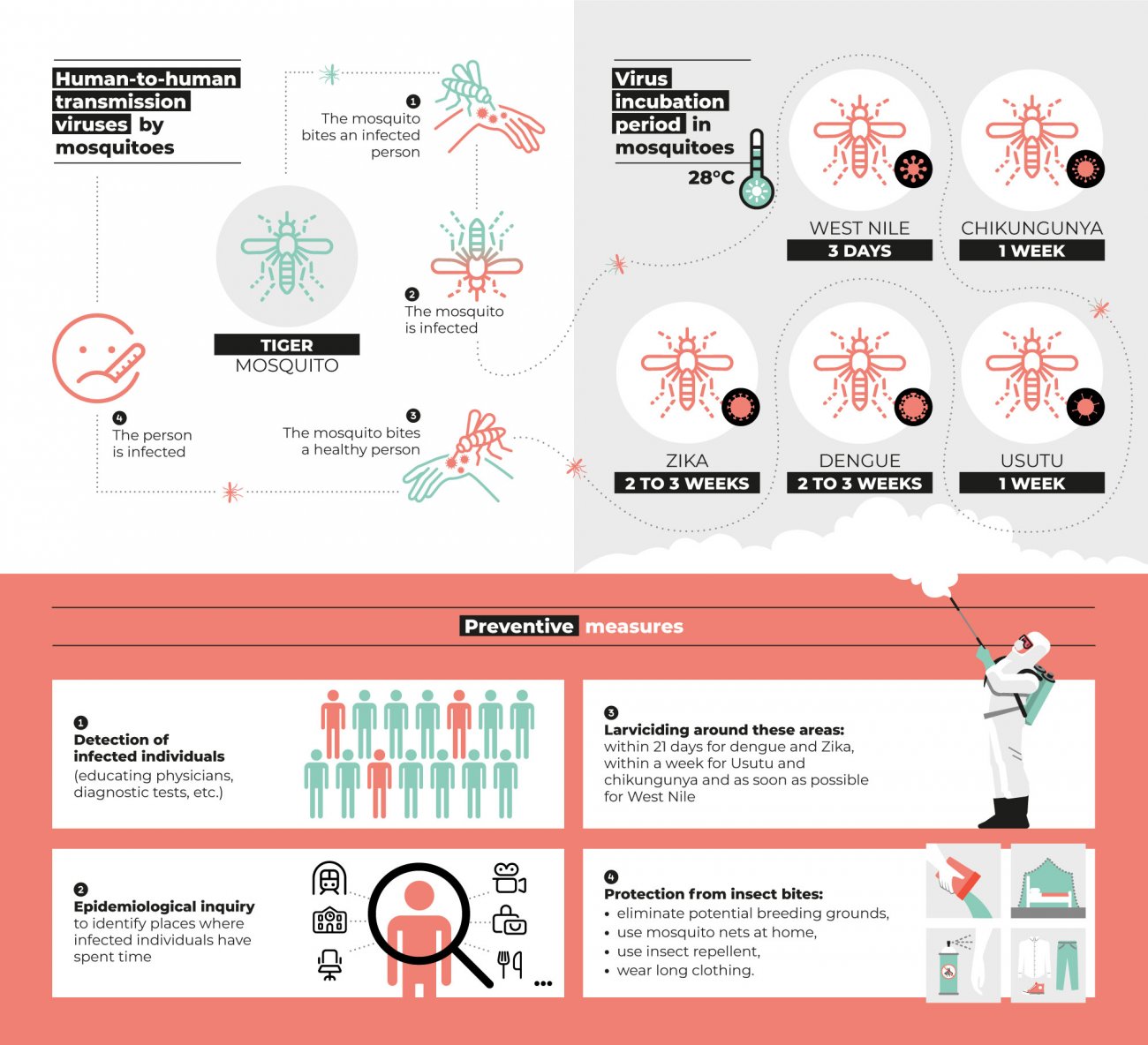 Olympics: how many days does it take for mosquitoes in Greater Paris to transmit arboviruses, and what preventive measures are needed? Olympics: how many days does it take for mosquitoes in Greater Paris to transmit arboviruses, and what preventive measures are needed?