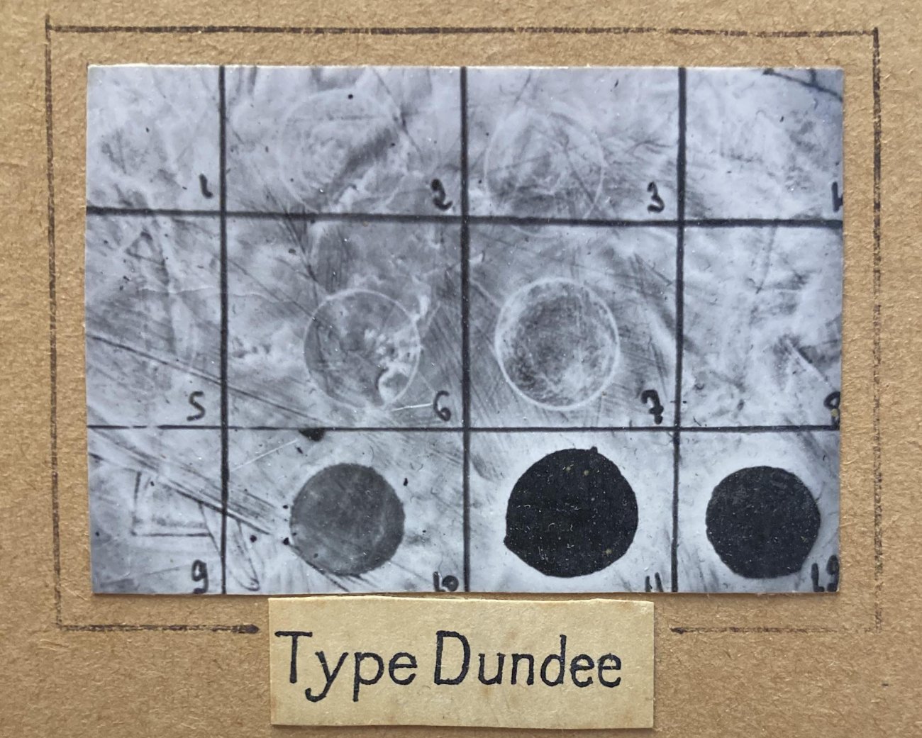 Détermination du lysotype Dundee pour une souche de Salmonella enterica sérotype Paratyphi B © François-Xavier Weill, Institut Pasteur Détermination du lysotype Dundee pour une souche de Salmonella enterica sérotype Paratyphi B © François-Xavier Weill, Institut Pasteur