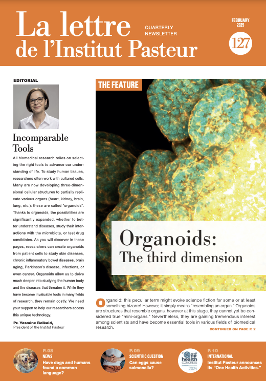 Download the PDF file La lettre de l'Institut Pasteur #127 February 2025