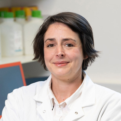 Melanie Hamon Institut Pasteur