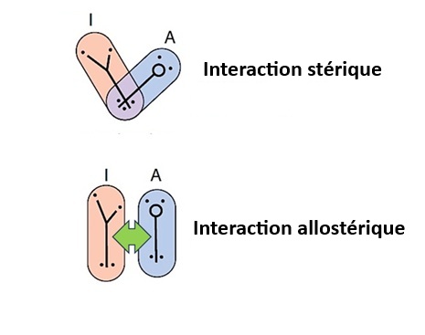 Ïnstitut Pasteur Institut Pasteur