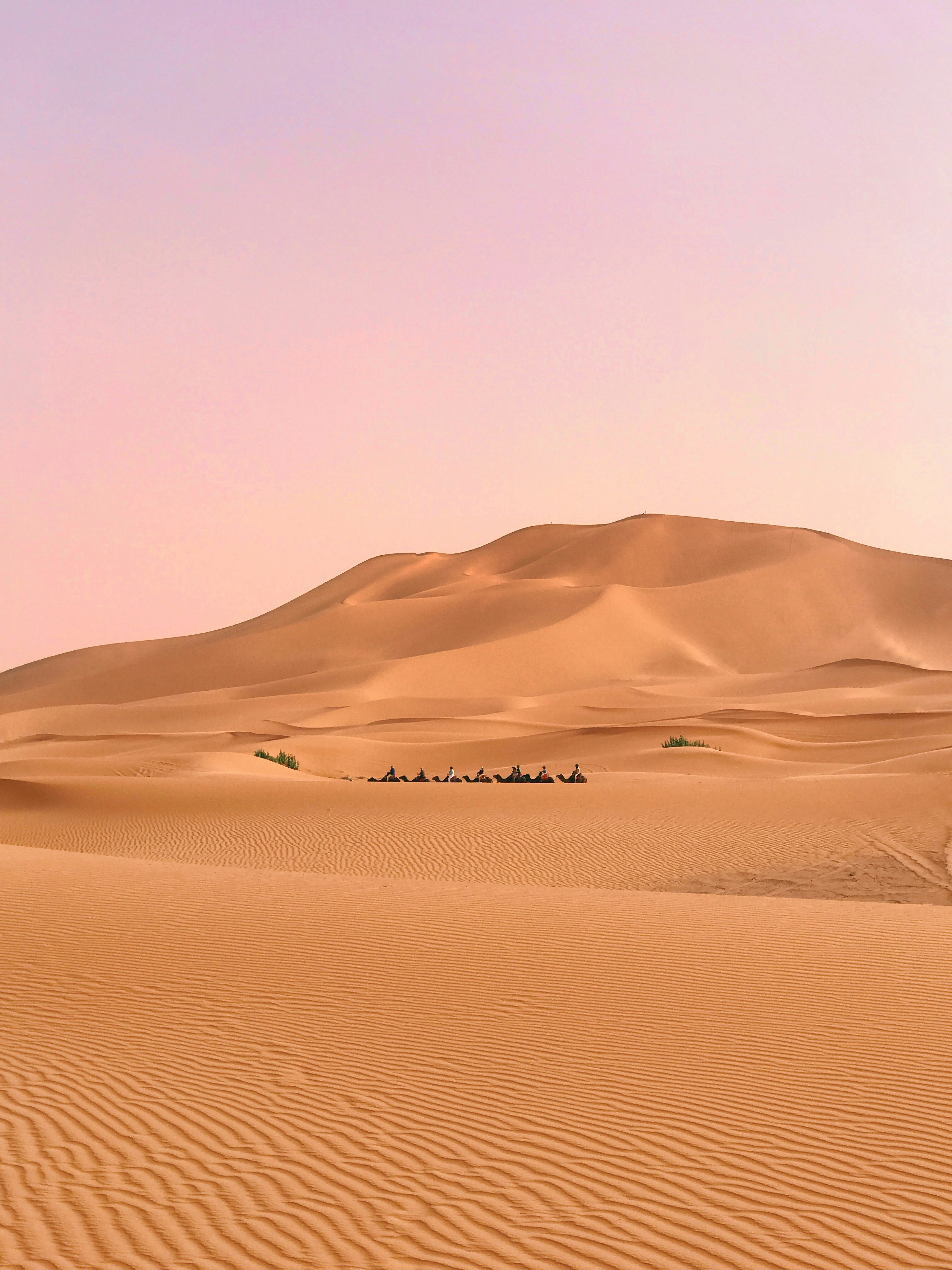 Paysage de désert de sable