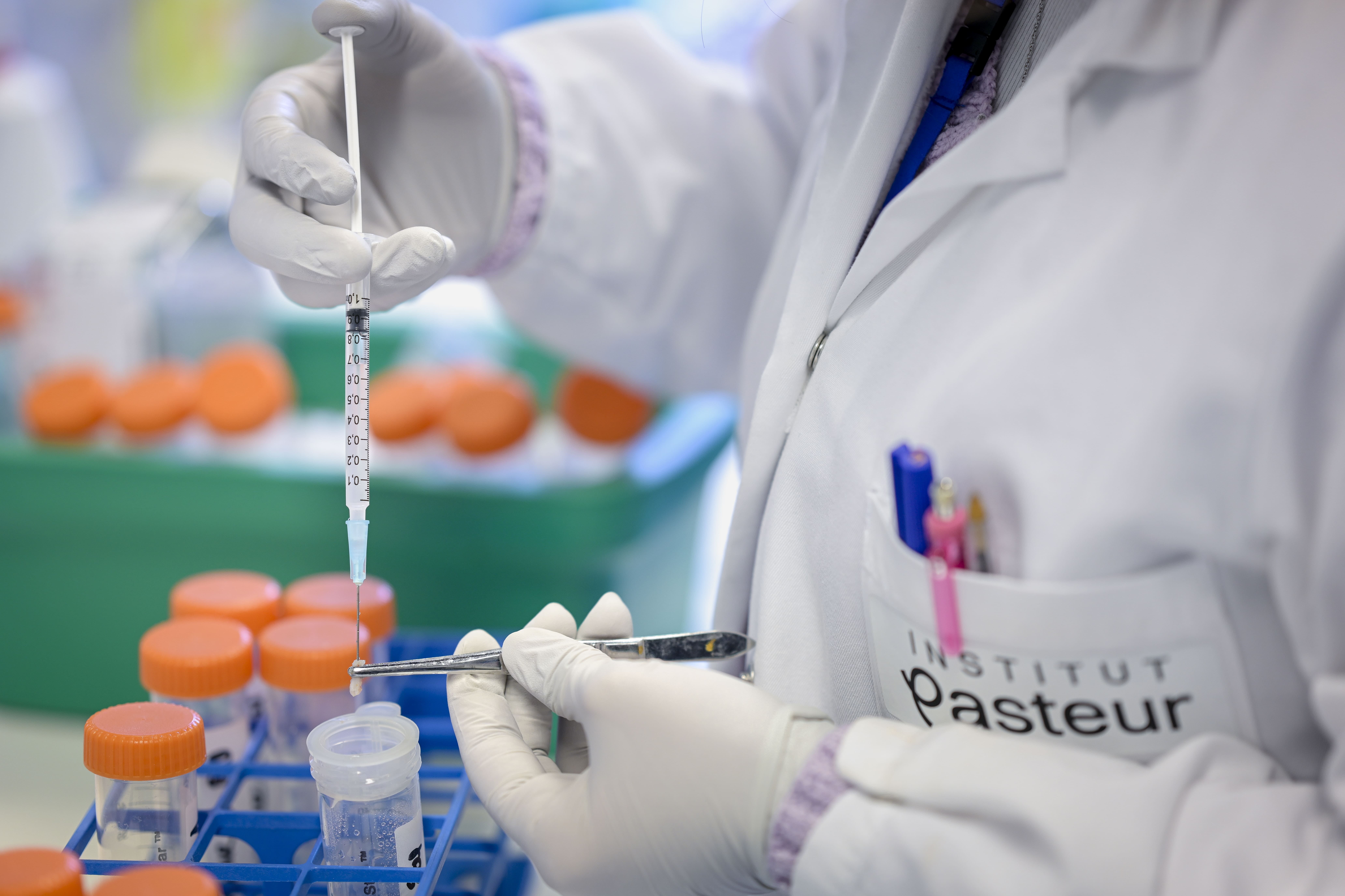 Reportage dans le laboratoire G5 Interactions cerveau-immunité.