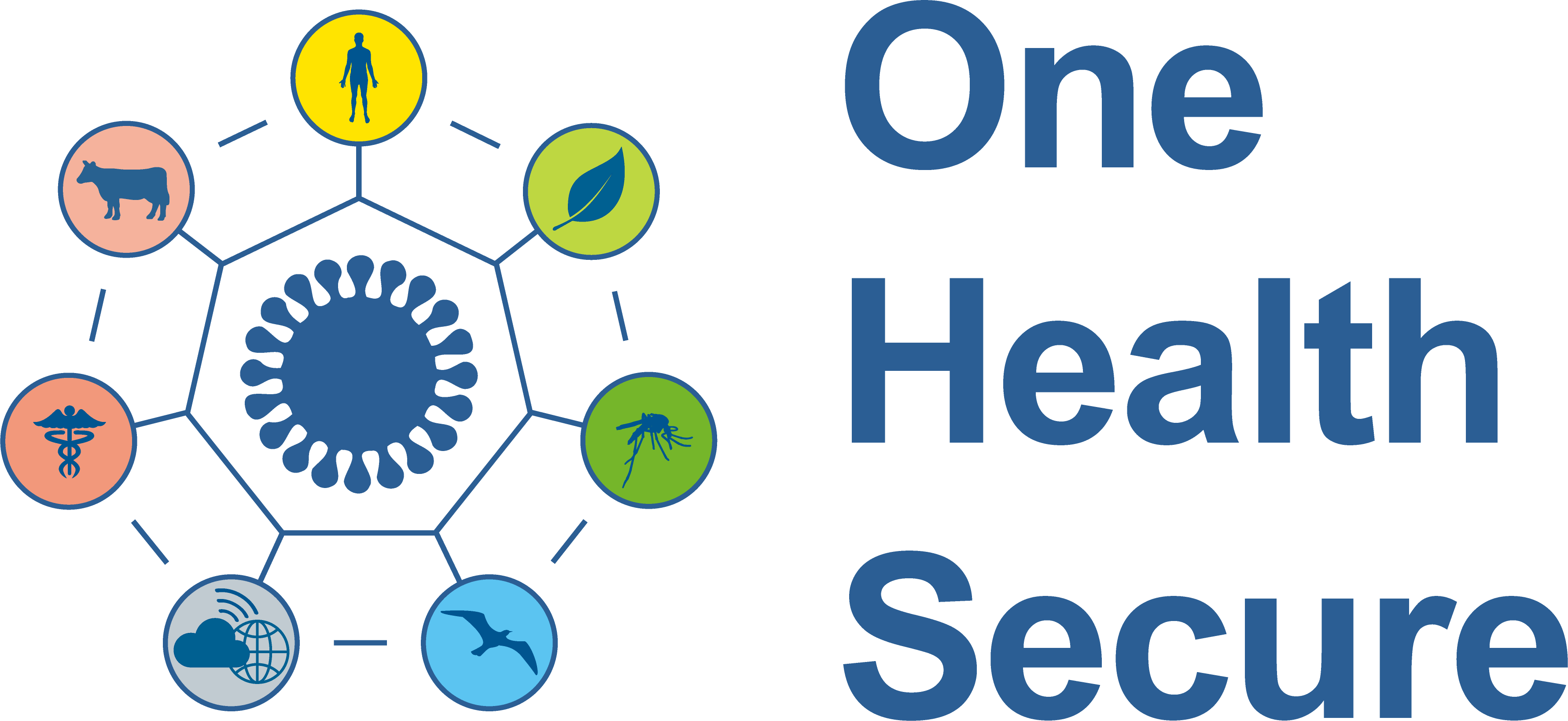 Logo proje OneHealthSecure