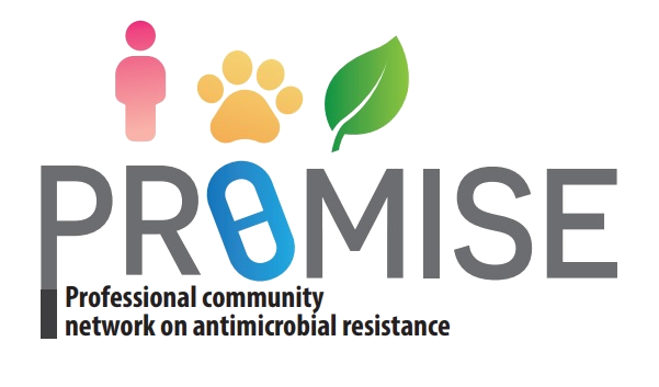 Promise