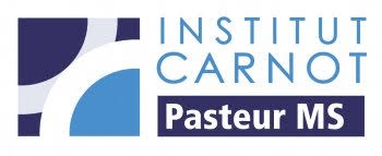 Institut Carnot