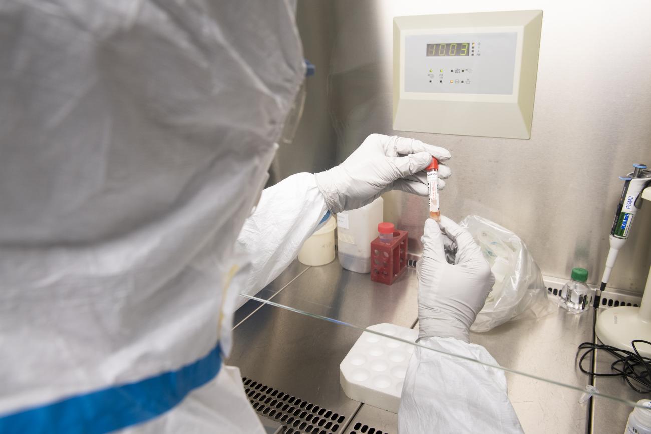 Les Serveurs Doivent Ils Etre Vaccine Covid-19 : le CEPI finance le développement d'un vaccin contre SARS-CoV-2,  projet porté par le consortium de l'Institut Pasteur, de Themis et de  l'université de Pittsburgh | Institut Pasteur
