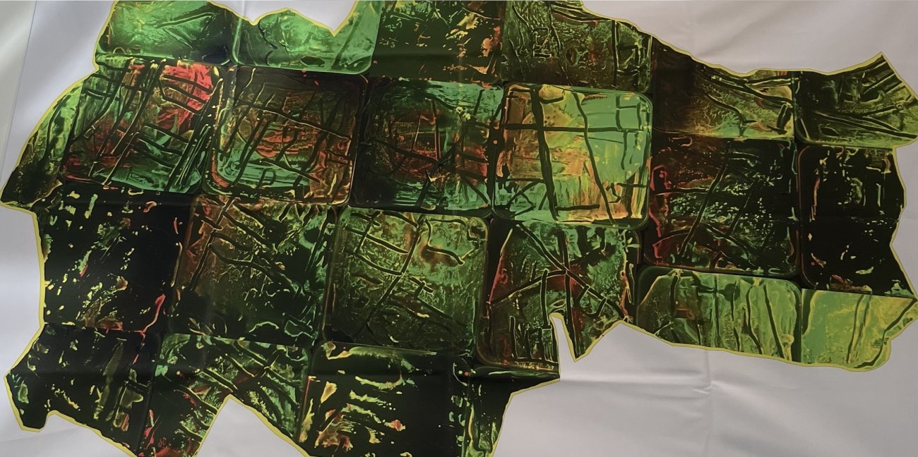 Scientific outreach: exploring bacterial diversity with art |